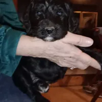 processed/d7f0e7f9-e41d-4dfd-9a57-087f6f873d4b/facility/e0c62514-a7c6-4bbf-bc26-bde56bf64fde