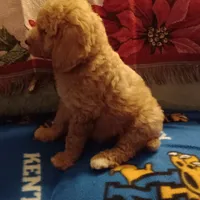 processed/d7f0e7f9-e41d-4dfd-9a57-087f6f873d4b/facility/e87afcec-a3ac-4cd9-b84c-56158d26530a