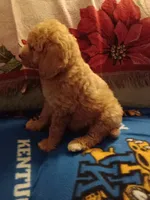 processed/d7f0e7f9-e41d-4dfd-9a57-087f6f873d4b/facility/e87afcec-a3ac-4cd9-b84c-56158d26530a