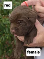 processed/d7f52faf-0006-46d7-b7ec-236938c9a8b3/listing/e87368f1-c1da-48ac-9f9d-eda609555aa4/10584f76-43f5-4262-a4d0-6376e971effc