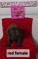 processed/d7f52faf-0006-46d7-b7ec-236938c9a8b3/listing/e87368f1-c1da-48ac-9f9d-eda609555aa4/faab1c96-d4df-4a25-a59e-53945c98af4c