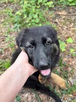 processed/d7fcaeba-5b09-4b4d-b964-1a0f67fc50d1/facility/15422a91-0abe-486b-938c-d8a1eae31d74