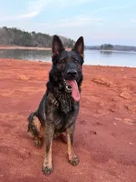 processed/d7fcaeba-5b09-4b4d-b964-1a0f67fc50d1/facility/5f4b9c8d-24e0-4efe-a82b-23594a403fa5