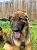 processed/d7fcaeba-5b09-4b4d-b964-1a0f67fc50d1/facility/7ddbb742-daa0-4c60-84e1-79a2ca6c8513