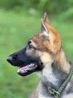 processed/d7fcaeba-5b09-4b4d-b964-1a0f67fc50d1/facility/835ba44d-6539-48f1-bd88-c719ed123bb9