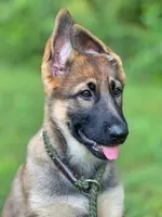 processed/d7fcaeba-5b09-4b4d-b964-1a0f67fc50d1/facility/96e3934c-7afb-4682-9a0c-e7acfaeff3e9