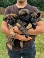 processed/d7fcaeba-5b09-4b4d-b964-1a0f67fc50d1/facility/a42f2ba2-9fe8-49f9-87c2-44f220d194d7