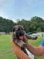 processed/d7fcaeba-5b09-4b4d-b964-1a0f67fc50d1/facility/ce5d3033-f63c-429c-b7b1-130ba6ed6ebe