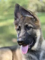 processed/d7fcaeba-5b09-4b4d-b964-1a0f67fc50d1/facility/f72acb53-4f86-46f7-ab18-014581509d44