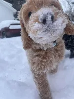 processed/d7fee72b-81e0-4fb4-9ad1-663933fd6f45/facility/0e46be03-d07b-47b0-97d6-6740e79a03e2