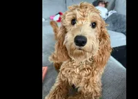 processed/d7fee72b-81e0-4fb4-9ad1-663933fd6f45/facility/432ace61-4cef-4f1d-8543-100811e7f290