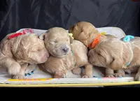 processed/d7fee72b-81e0-4fb4-9ad1-663933fd6f45/facility/4ece0182-e0b9-439d-94b2-593adce08e0f