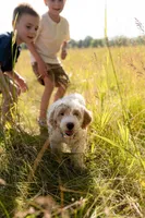 processed/d7fee72b-81e0-4fb4-9ad1-663933fd6f45/facility/661032f7-528d-4b98-b97f-62ddf8fe99db