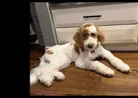 processed/d7fee72b-81e0-4fb4-9ad1-663933fd6f45/facility/7b3c8bc9-8b01-42f0-a7dd-aa22dab7074d