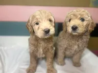 processed/d7fee72b-81e0-4fb4-9ad1-663933fd6f45/facility/e3b06ffc-f1c7-4249-b31f-13457fef8710