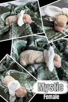 MYSTIC, a female Miniature Goldendoodle for sale in Hastings, MI – Photo 3 of 4