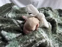 MYSTIC, a female Miniature Goldendoodle for sale in Hastings, MI – Photo 2 of 4