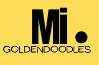 PRINCESS IRIS, a female Miniature Goldendoodle for sale in Hastings, MI – Photo 9 of 10