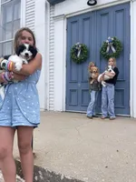 Dahlia-PRICE DROP, a female Miniature Goldendoodle for sale in Hastings, MI – Photo 10 of 10