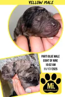 processed/d7fee72b-81e0-4fb4-9ad1-663933fd6f45/listing/a932e5de-b7ed-459f-bb3a-eaf30e7f10a6/33df63ea-d3bd-43b3-aa13-e12d6e8bada4