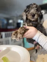 processed/d7fee72b-81e0-4fb4-9ad1-663933fd6f45/listing/a932e5de-b7ed-459f-bb3a-eaf30e7f10a6/37ffe109-5c70-463d-bb00-2f48b4cd2055