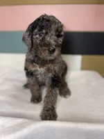 processed/d7fee72b-81e0-4fb4-9ad1-663933fd6f45/listing/a932e5de-b7ed-459f-bb3a-eaf30e7f10a6/53767dfa-9617-4f11-b270-ef4cd69cbe0d