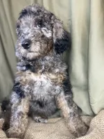 processed/d7fee72b-81e0-4fb4-9ad1-663933fd6f45/listing/a932e5de-b7ed-459f-bb3a-eaf30e7f10a6/c698ef77-230d-4b2e-b06d-8750f9aa7000