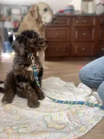 processed/d7fee72b-81e0-4fb4-9ad1-663933fd6f45/listing/a932e5de-b7ed-459f-bb3a-eaf30e7f10a6/d593ad2c-f15a-44fe-a45f-08bb03f7809d