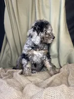 processed/d7fee72b-81e0-4fb4-9ad1-663933fd6f45/listing/a932e5de-b7ed-459f-bb3a-eaf30e7f10a6/ee0f5601-2cba-4004-8cc5-2ae4aaaef06a