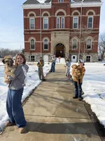 BLITZEN, a male Miniature Goldendoodle for sale in Hastings, MI – Photo 4 of 10