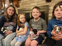 HUMBLE (black w/markings), a male Goldendoodle for sale in Hastings, MI – Photo 7 of 10