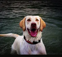 processed/d80050f8-b8c2-4427-b92a-78ca6e131539/facility/6152a57f-d009-40b2-ad4b-baae41964532