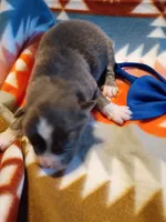 processed/d809741c-42a9-4ab7-92be-87042bf7da93/listing/792e409c-81a9-4f2b-b29f-94ccac67b609/f11b4bcf-9a84-4136-a6ad-b717beb47613