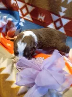 processed/d809741c-42a9-4ab7-92be-87042bf7da93/listing/ca6fcd1a-ecce-4fd0-a0c5-e6afb023cc08/3d5513b5-5562-49c2-a29a-c6bcba92bd72