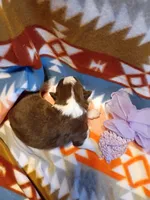 processed/d809741c-42a9-4ab7-92be-87042bf7da93/listing/ca6fcd1a-ecce-4fd0-a0c5-e6afb023cc08/ea8808c6-6495-44f5-9b63-2db82b31248f