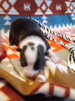 processed/d809741c-42a9-4ab7-92be-87042bf7da93/listing/d3149322-81f7-4d2e-865b-65b17a0b84bb/3d1db007-d808-4d44-98a2-19504a58f8d8