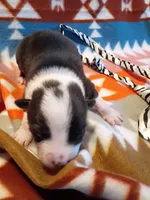 processed/d809741c-42a9-4ab7-92be-87042bf7da93/listing/d3149322-81f7-4d2e-865b-65b17a0b84bb/9f00a994-43cc-4a6c-b7d1-75fa06d49740