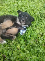 processed/d809741c-42a9-4ab7-92be-87042bf7da93/listing/e259690e-6471-41b2-a9df-78a3211f012f/37f2f51d-f5be-492f-9376-b810365ea800