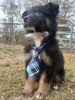 processed/d809741c-42a9-4ab7-92be-87042bf7da93/listing/e259690e-6471-41b2-a9df-78a3211f012f/512cf42f-b9cd-488a-924f-10cada7853fc