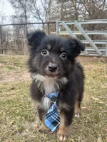 processed/d809741c-42a9-4ab7-92be-87042bf7da93/listing/e259690e-6471-41b2-a9df-78a3211f012f/614359d5-bcd8-4947-bd15-306d914e0866