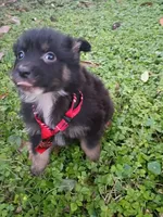 processed/d809741c-42a9-4ab7-92be-87042bf7da93/listing/e259690e-6471-41b2-a9df-78a3211f012f/6b9d5fb4-7050-481d-b630-c179b8ee3bee