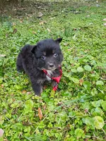 processed/d809741c-42a9-4ab7-92be-87042bf7da93/listing/e259690e-6471-41b2-a9df-78a3211f012f/712fef6e-a211-44e9-9bdf-82ef44b301ec