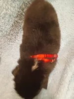 processed/d809741c-42a9-4ab7-92be-87042bf7da93/listing/e259690e-6471-41b2-a9df-78a3211f012f/71a84203-d9eb-4ac5-8603-8929bea26e12