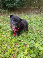 processed/d809741c-42a9-4ab7-92be-87042bf7da93/listing/e259690e-6471-41b2-a9df-78a3211f012f/7c2186eb-703f-4776-86d4-24fc020e6ef4