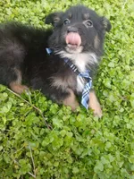 processed/d809741c-42a9-4ab7-92be-87042bf7da93/listing/e259690e-6471-41b2-a9df-78a3211f012f/a5079c0d-1975-4703-b1b5-b12c6a6fe31a