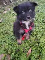 processed/d809741c-42a9-4ab7-92be-87042bf7da93/listing/e259690e-6471-41b2-a9df-78a3211f012f/d825b9d9-bf9d-4a9b-aea3-0535e7e0a265