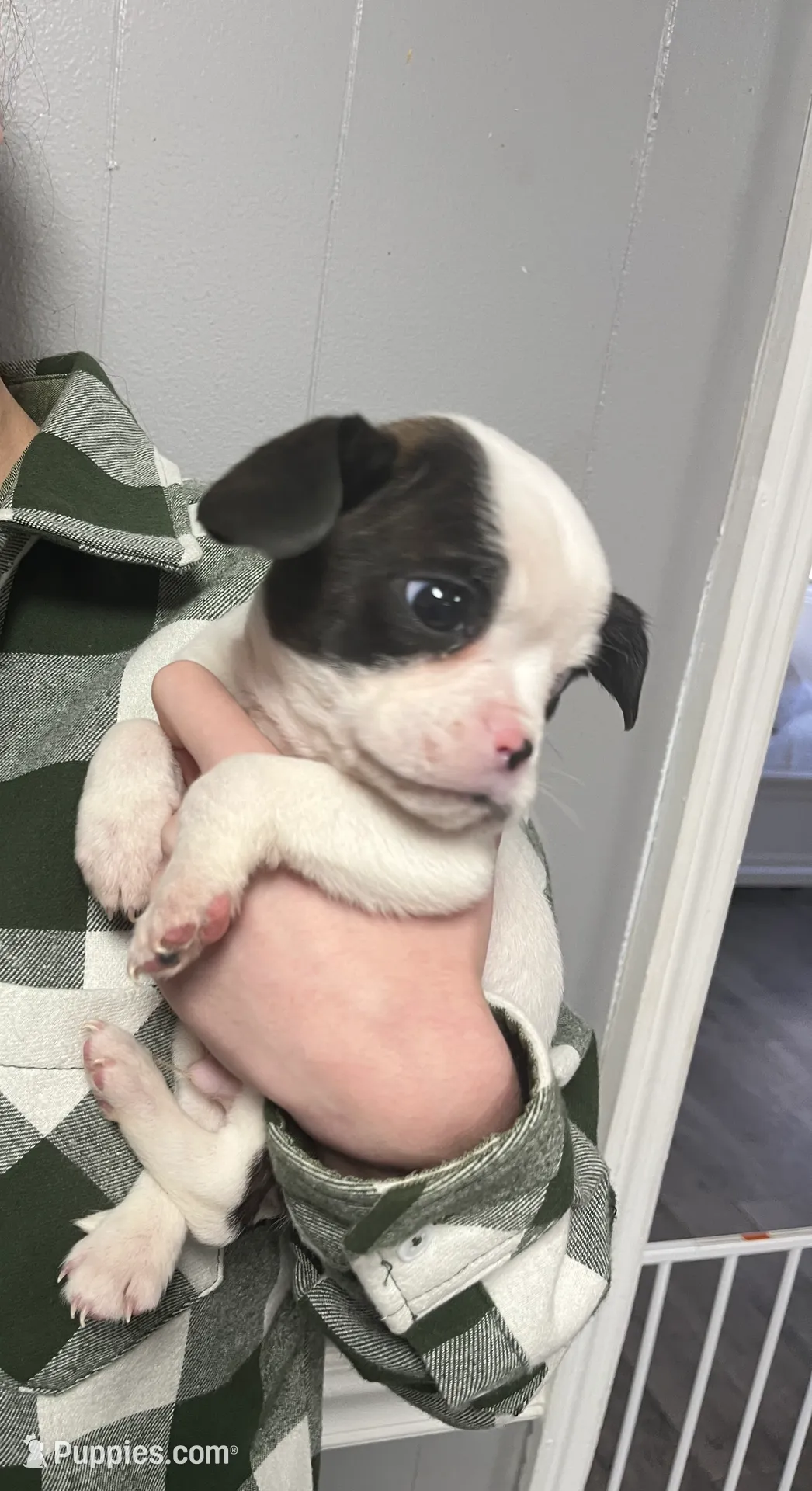 processed/d80c8bf0-bc59-4930-8b93-e0b8325d6804/listing/f85ea763-ace7-44dd-91d0-c99b69150dc2/7e608bcd-65df-4afc-a710-f1c4061f1e4b