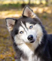 processed/d8126273-25e4-4855-b978-9e764b05b2ce/facility/25393c62-e8ff-4f77-b788-0935c8e0132f