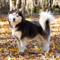 processed/d8126273-25e4-4855-b978-9e764b05b2ce/facility/3fa7f947-a574-4b2b-a513-948b0dc7a2e4