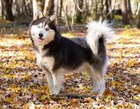 processed/d8126273-25e4-4855-b978-9e764b05b2ce/facility/3fa7f947-a574-4b2b-a513-948b0dc7a2e4